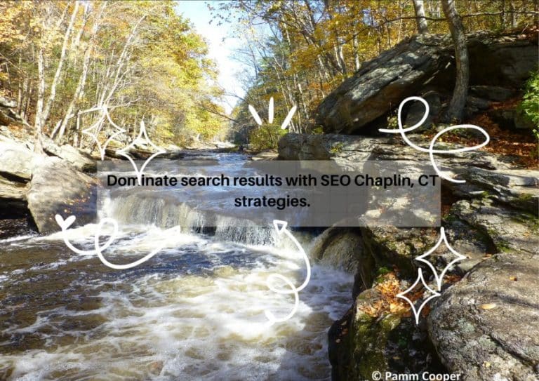 Lorphic experts managing PPC advertising campaigns in Chaplin CT.