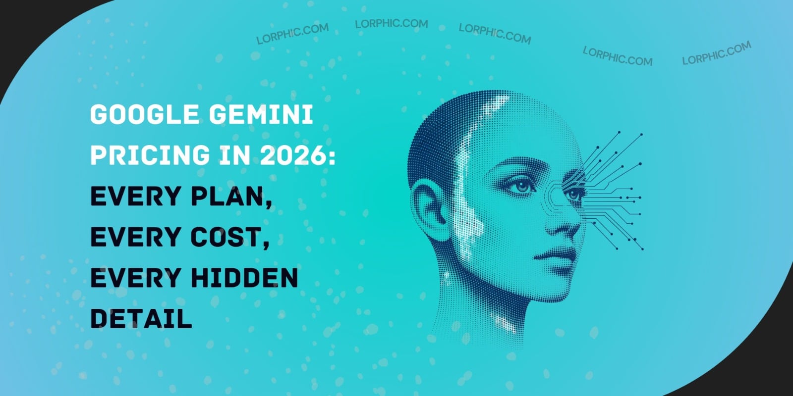 Small business owner reviewing Google Gemini pricing plans on laptop showing comparison of free Google AI Pro and Ultra tiers with feature breakdown