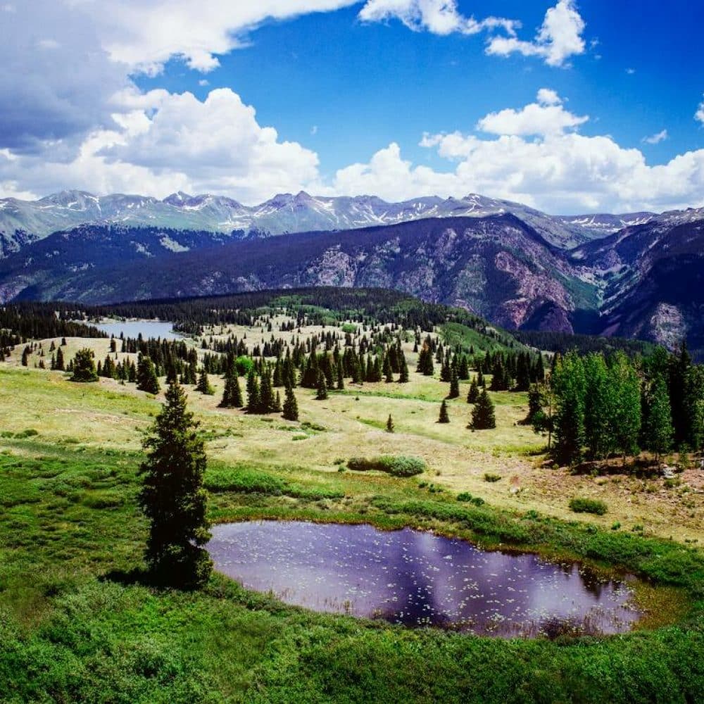Connect With Lorphic In Durango, Co For Expert Digital Marketing, Seo, And Advertising Solutions.