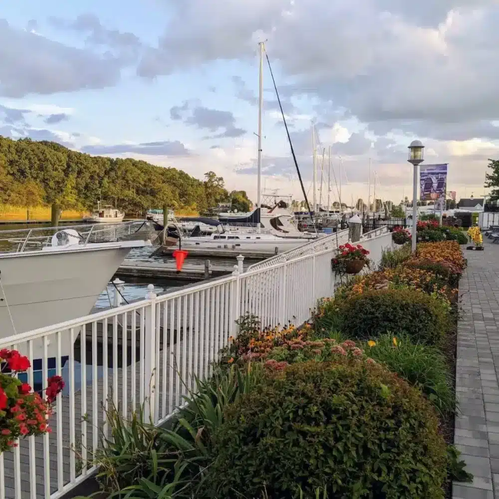 Lorphic, One Of The Top Ad Agencies Near Me, Delivers Expert Business Solutions For Milford, Ct Small Businesses