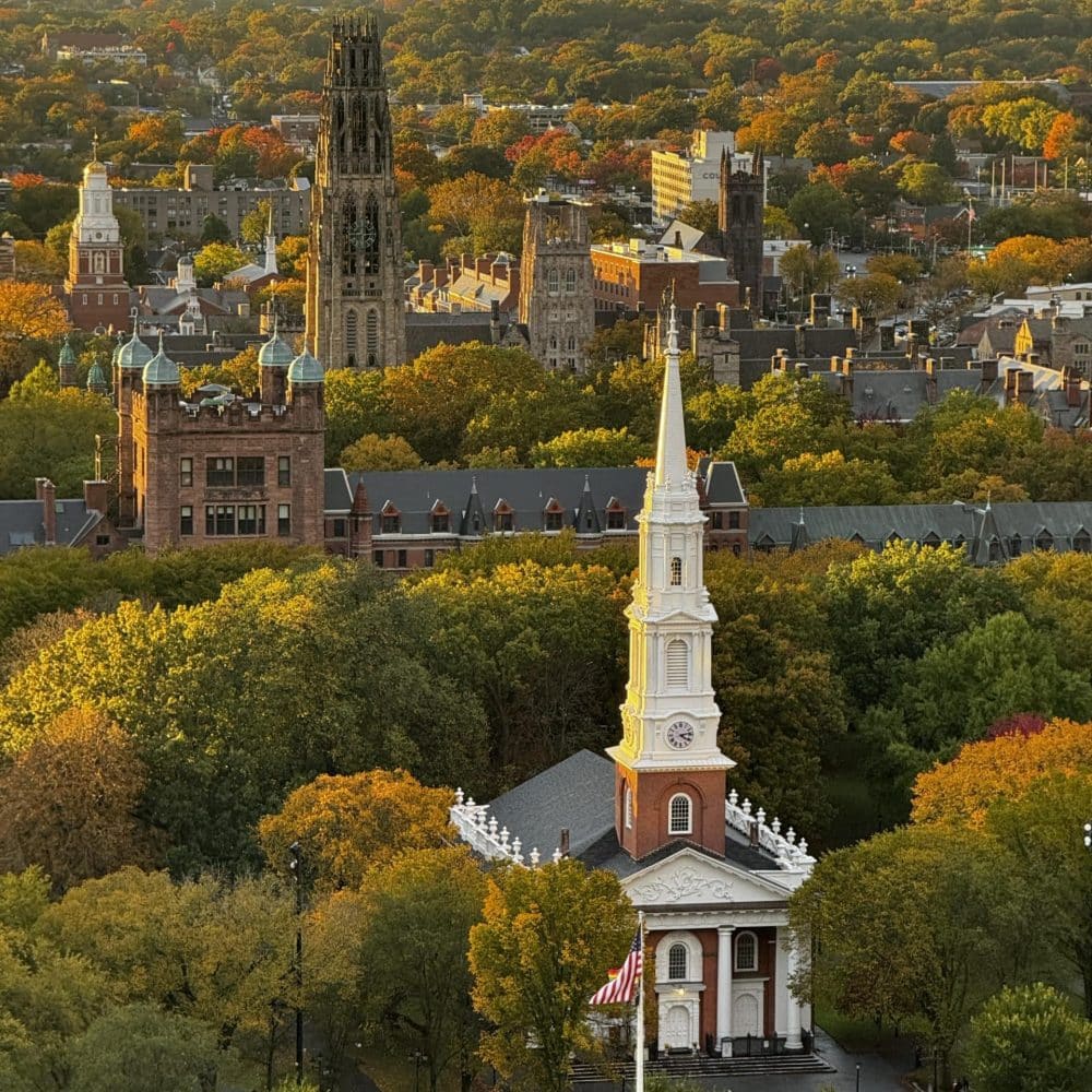 Lorphic Marketing In New Haven, Ct, Offers Tailored Marketing Services For Small Businesses.