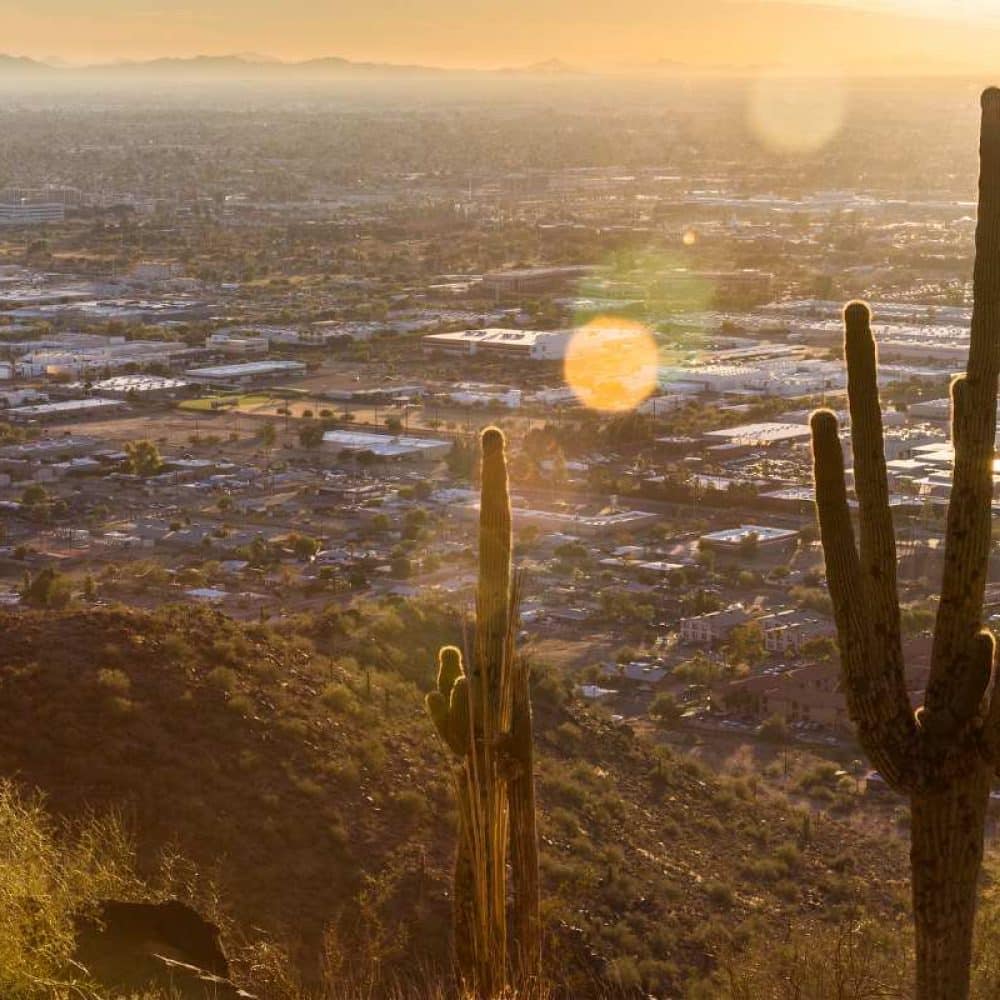 Lorphic Marketing, The Go-To Agency For Small Businesses In Avondale.