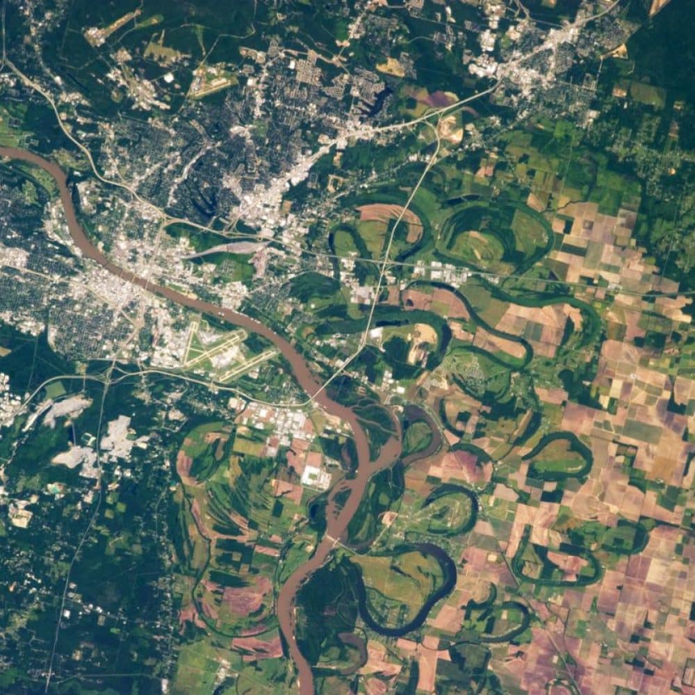 Lorphic Empowering Little Rock Businesses With Seo, Ppc, And Social Media Expertise.